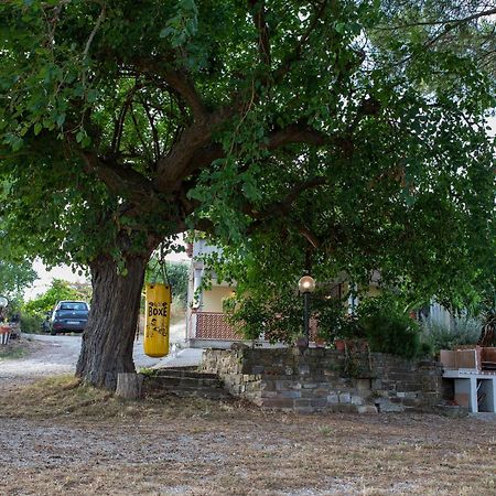 Casa Vacanze Diamante Ogliastro Cilento Exterior foto